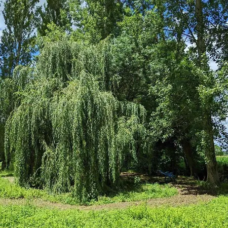 Maison Charmante Avec Terrasse, Jardin Clos, Barbecue, Pres De La Charente - 3 Ch, 2 Sdb - Fr-1-653-31 Сasa de vacaciones